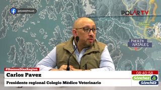colmevetmagallanes