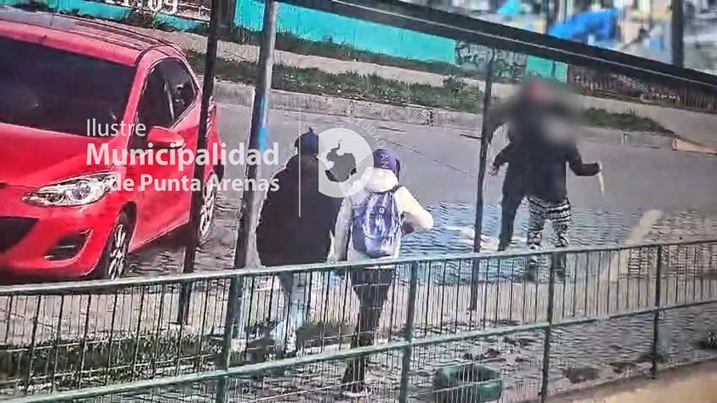 OPERATIVOS DE SEGURIDAD PÚBLICA (4) OPERATIVOS DE SEGURIDAD PÚBLICA (4)