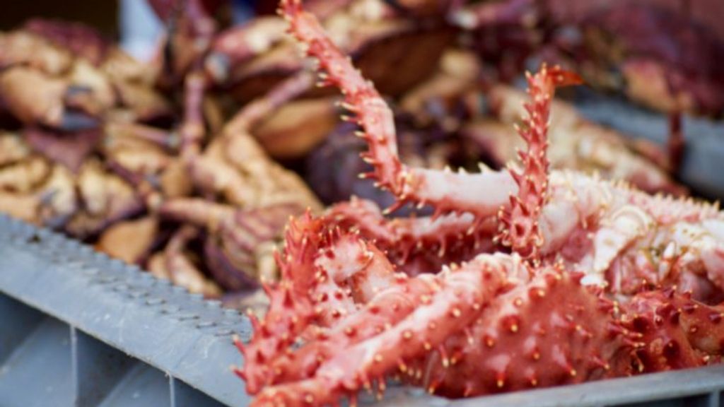 Caso-colusión-de-la-centolla-740x430