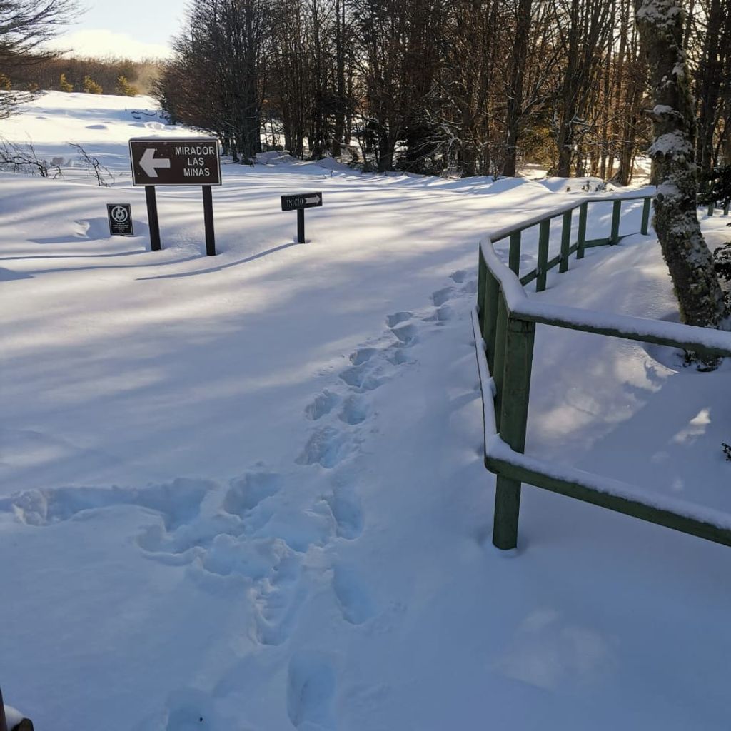 RN Magallanes con nieve RN Magallanes con nieve