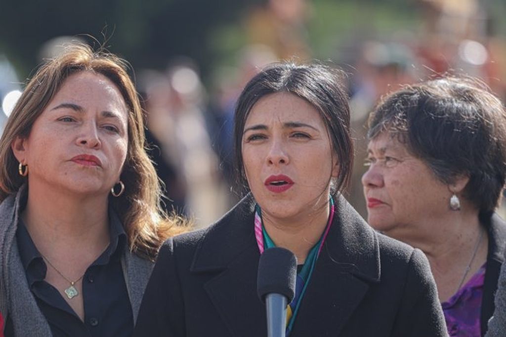 Karol-Cariola-700x467 Karol-Cariola-700x467