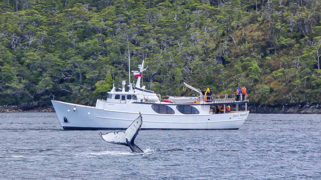 turismonauticomagallanes turismonauticomagallanes