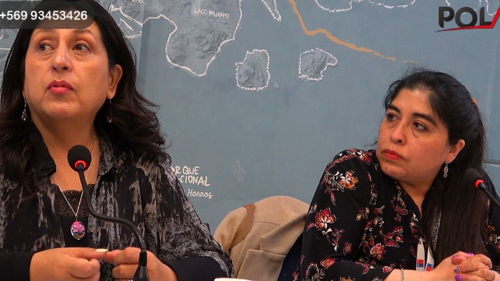 seremi de la mujer y seremi seguridad publica 2025