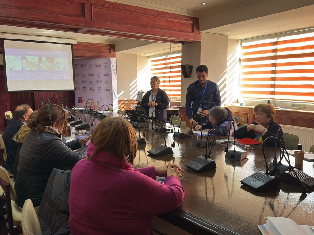 sernacmagallanes sernacmagallanes