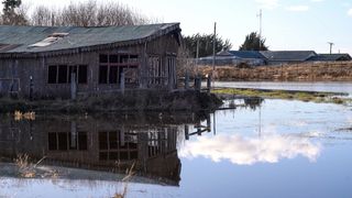 HUMEDALES (8) HUMEDALES (8)