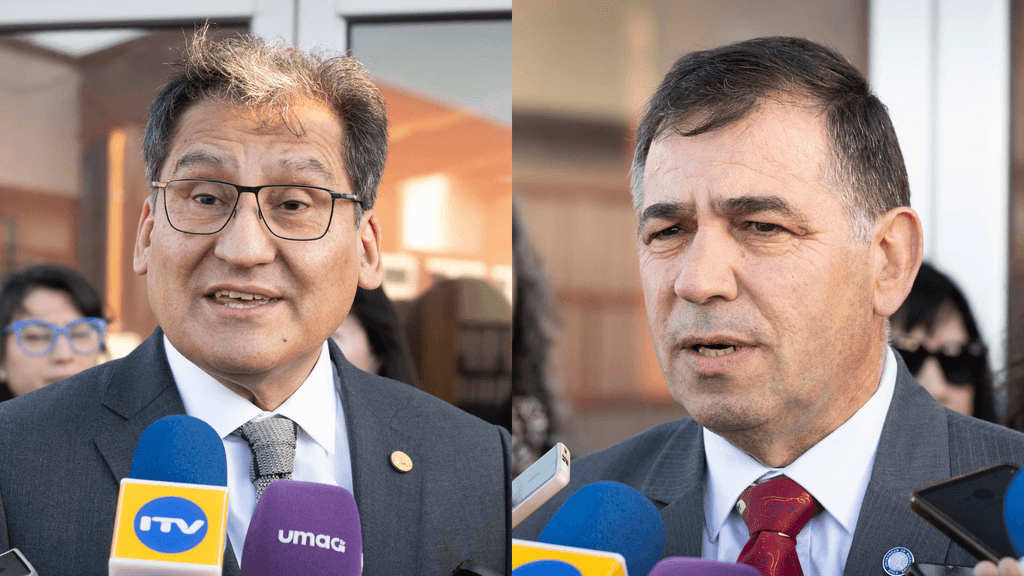 eleccionesUMAG