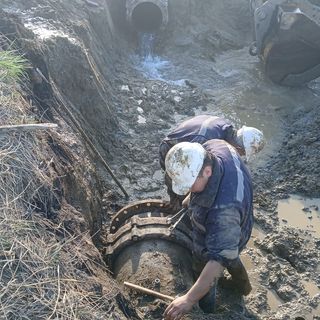 AP_AMA