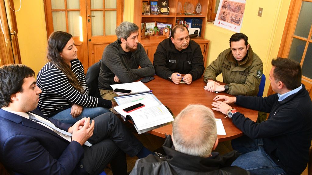 REUNIÓN POR TEMA CABALLOS 1 REUNIÓN POR TEMA CABALLOS 1