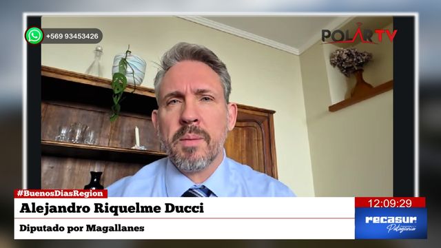 diputadoducci