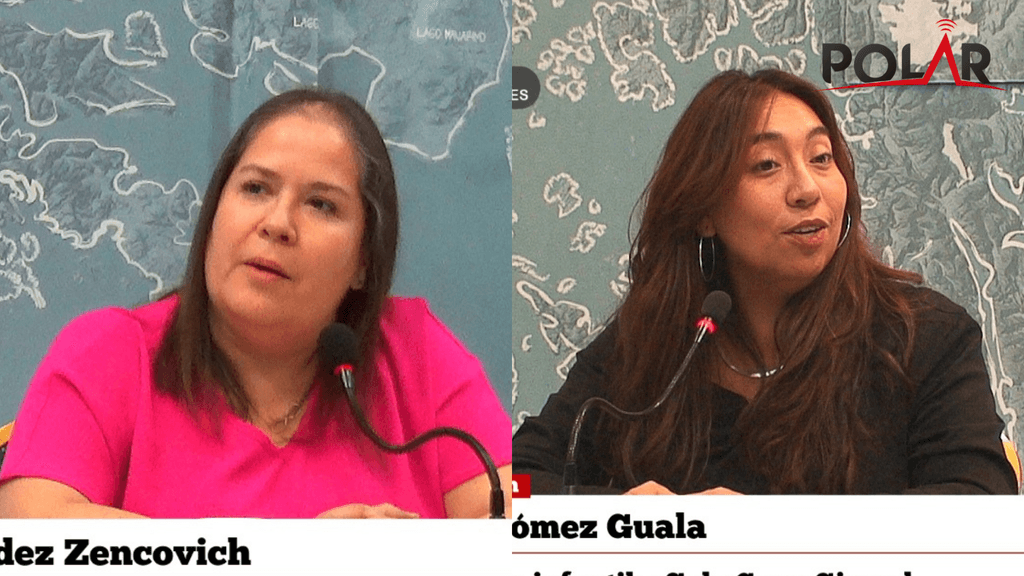 jardingirasol jardingirasol