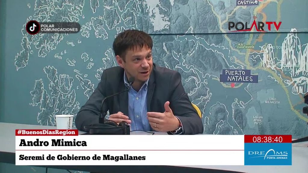 andromimica andromimica