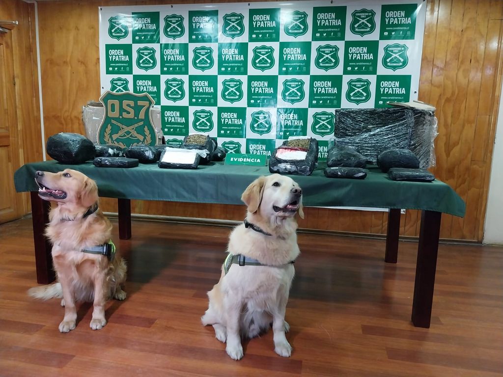 drogapuntaarenas drogapuntaarenas