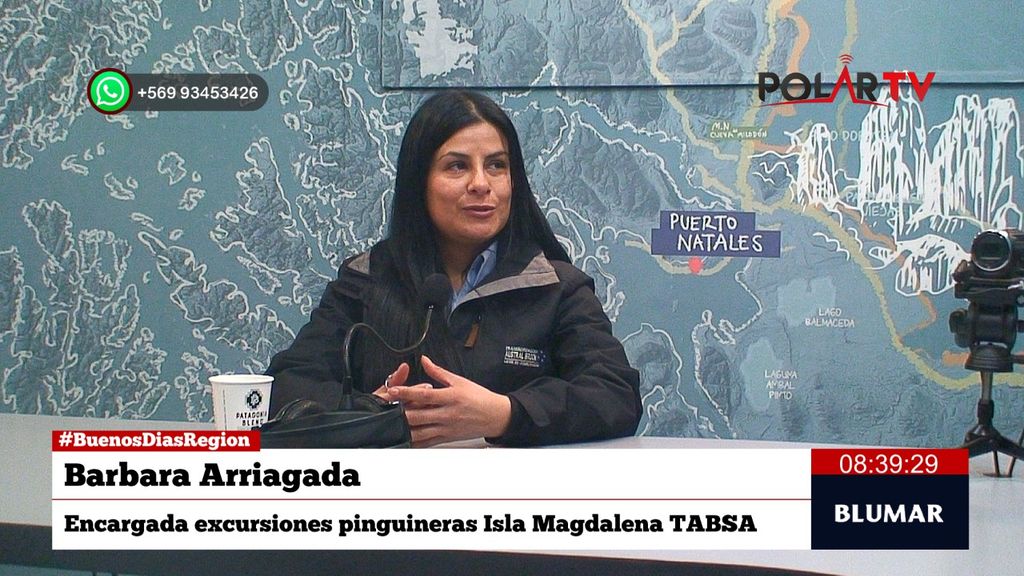 Imagen de WhatsApp 2024-11-21 a las 08 Imagen de WhatsApp 2024-11-21 a las 08