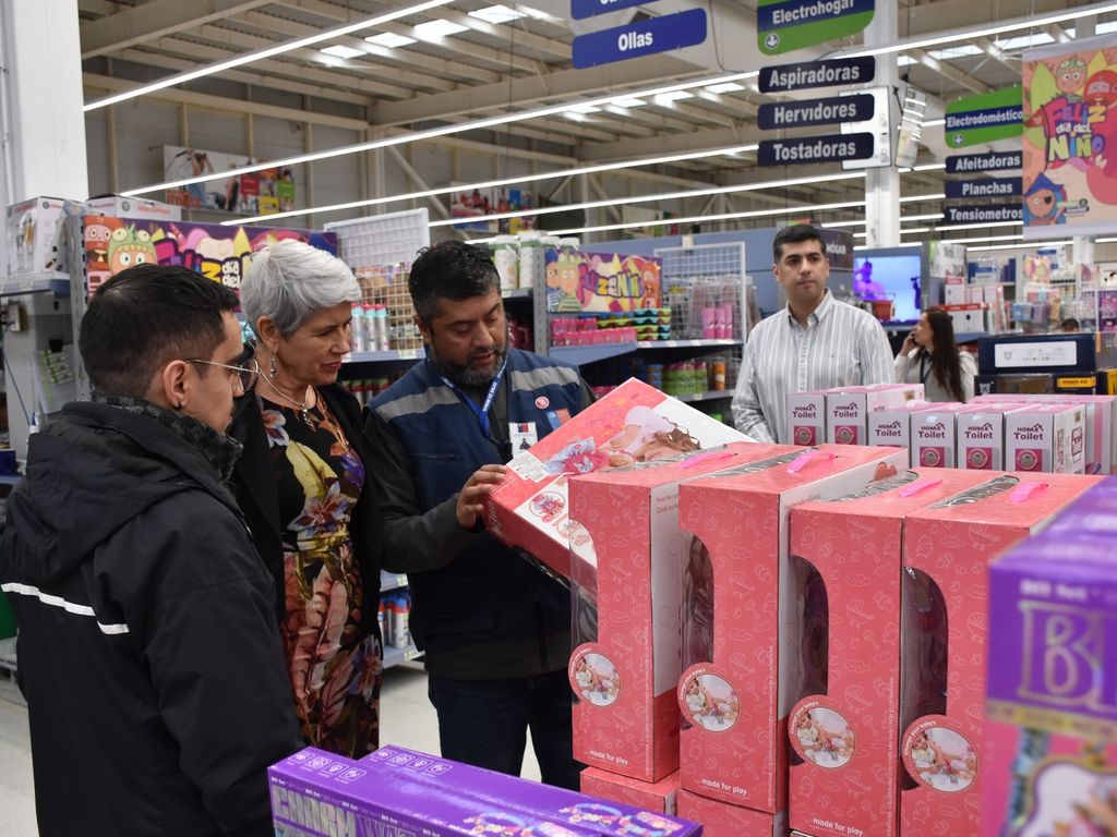 seremisaludfiscalizacion seremisaludfiscalizacion