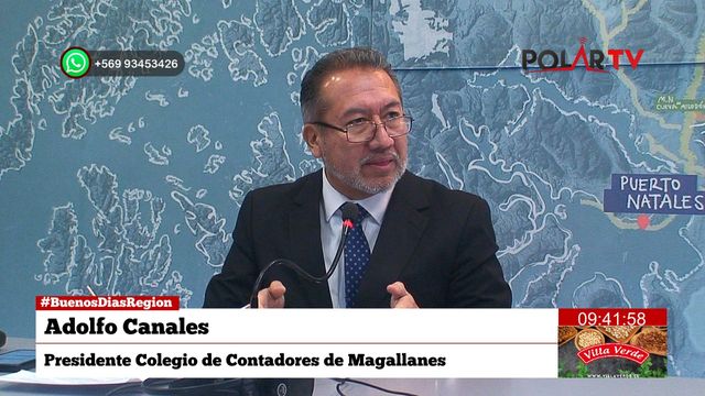contadoresmagallanes contadoresmagallanes