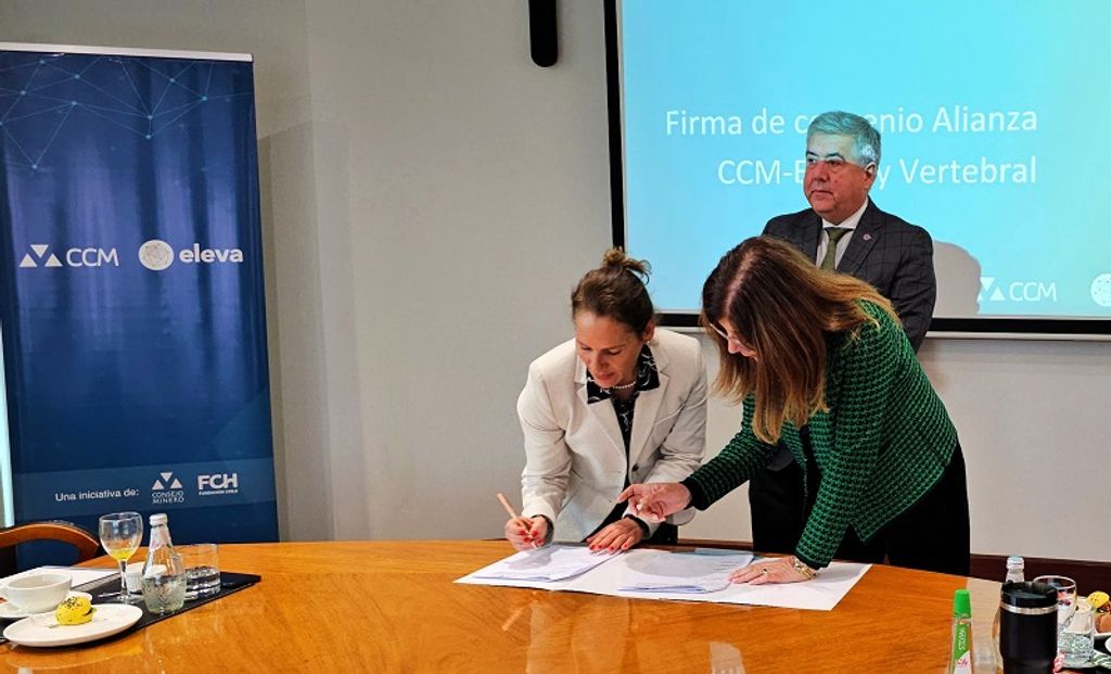 Vertebral - CCM-Eleva 1 Vertebral - CCM-Eleva 1