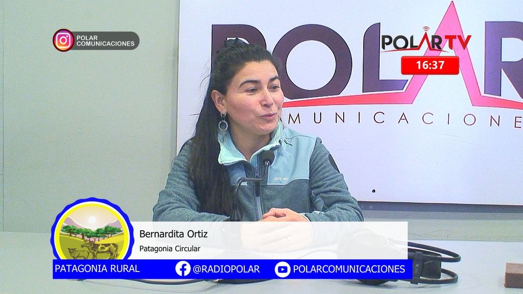 Imagen de WhatsApp 2024-06-14 a las 16 Imagen de WhatsApp 2024-06-14 a las 16