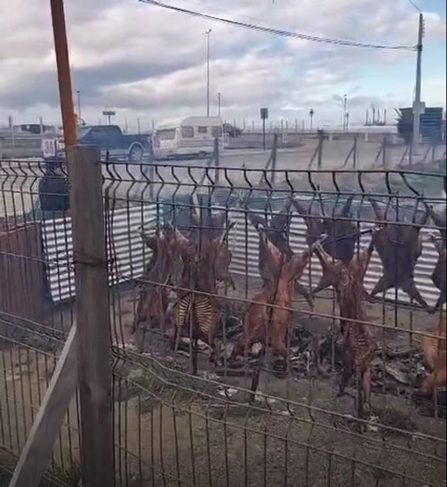 asado asado
