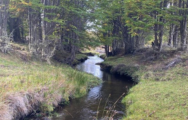 WhatsApp Image 2024-06-11 at 15 WhatsApp Image 2024-06-11 at 15