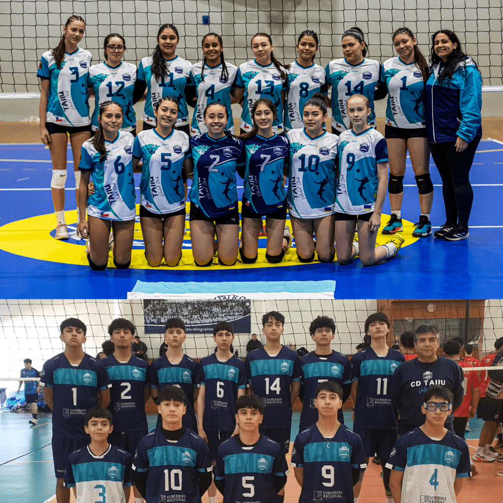 taiuuvoleibol taiuuvoleibol