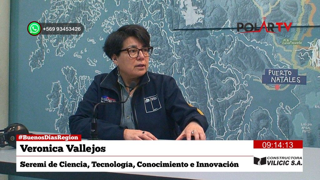 seremictcimagallanes seremictcimagallanes