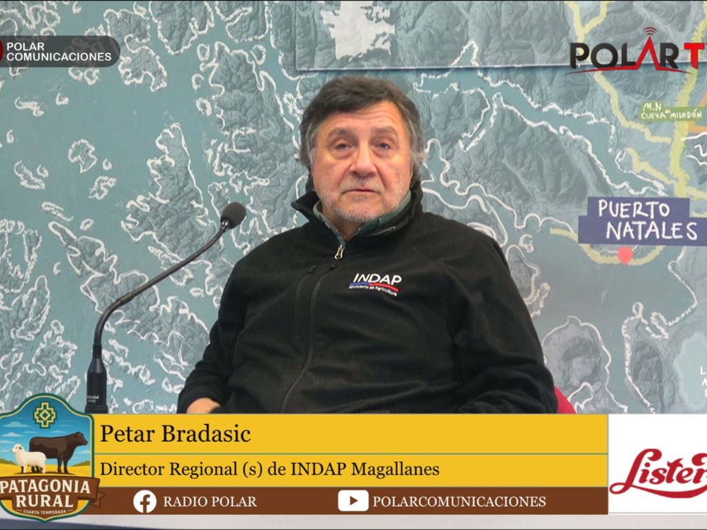 Petar bradasic indap