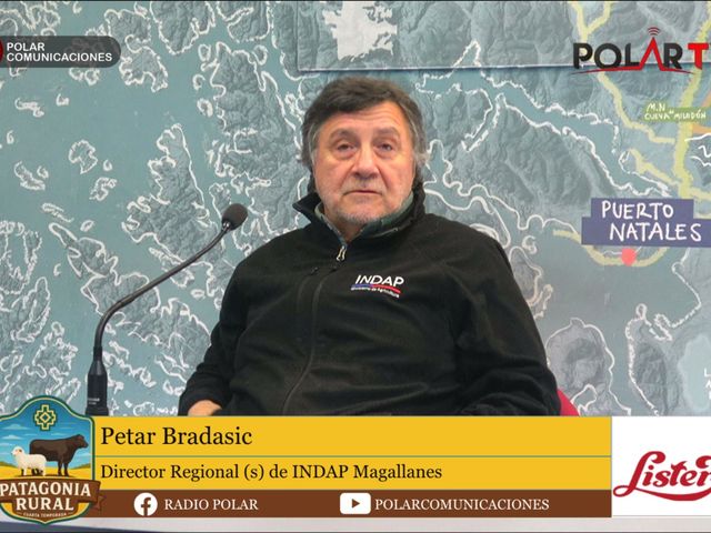 Petar bradasic indap Petar bradasic indap