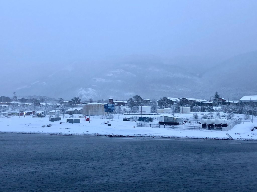 nevadawilliams2 nevadawilliams2