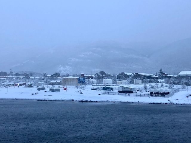 nevadawilliams2 nevadawilliams2