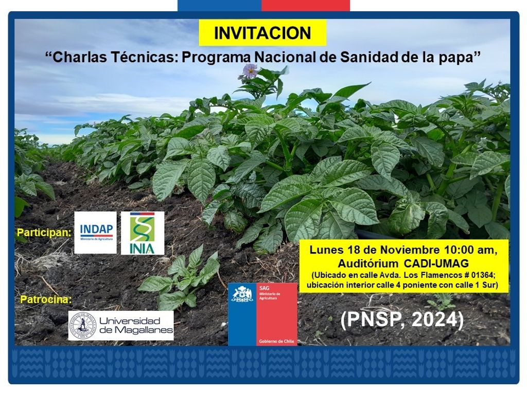 Invitacion PNSP 2024-11-18 Invitacion PNSP 2024-11-18