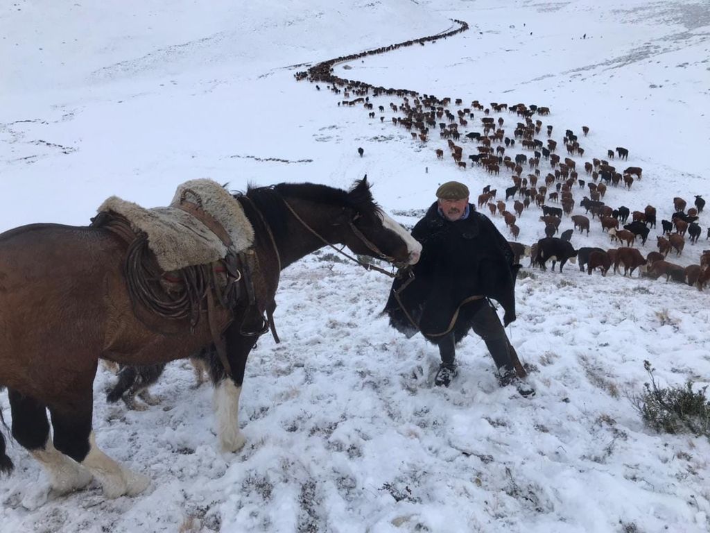 195708605_10226178710794667_5829967512554128409_n 195708605_10226178710794667_5829967512554128409_n