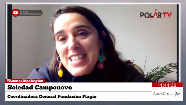 magallanesen100palabras magallanesen100palabras