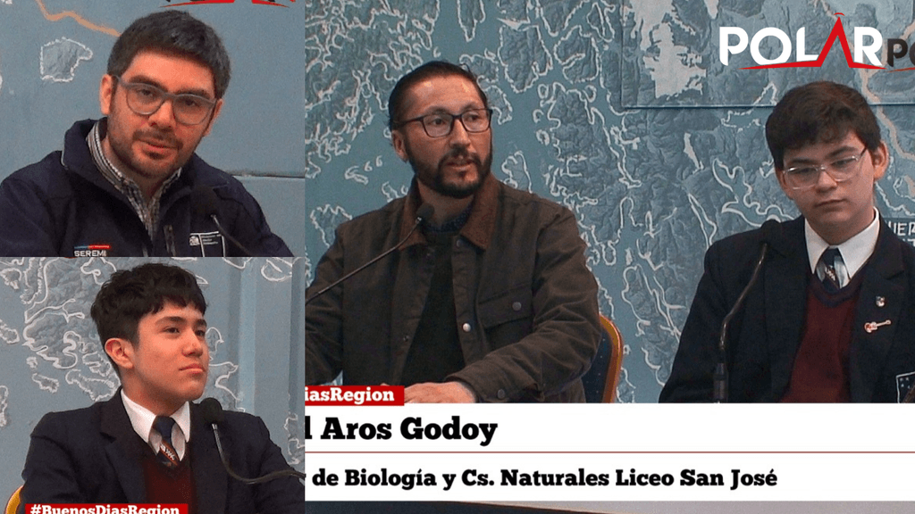 lsjecoresiduos lsjecoresiduos