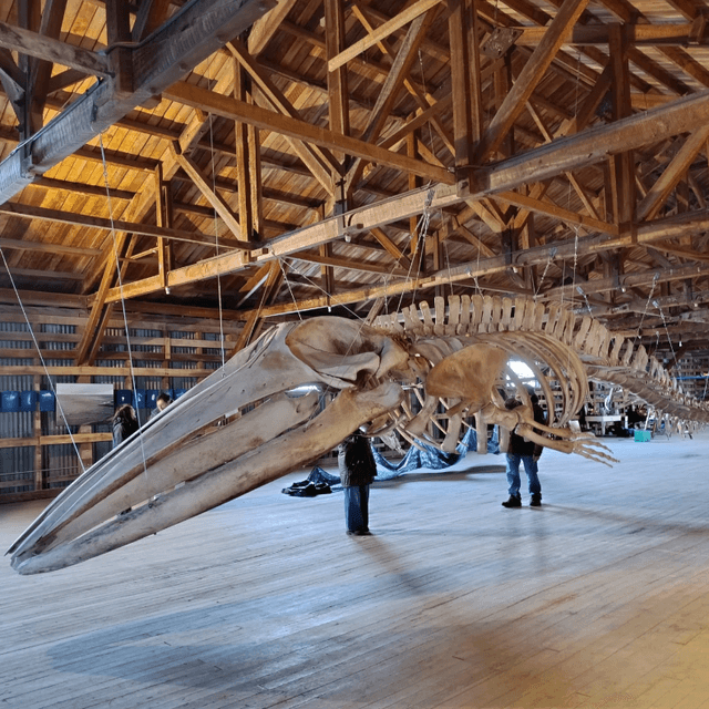 museorioseco museorioseco