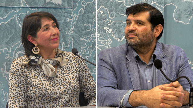 Seleccionados regionales new com toro y torres Seleccionados regionales new com toro y torres