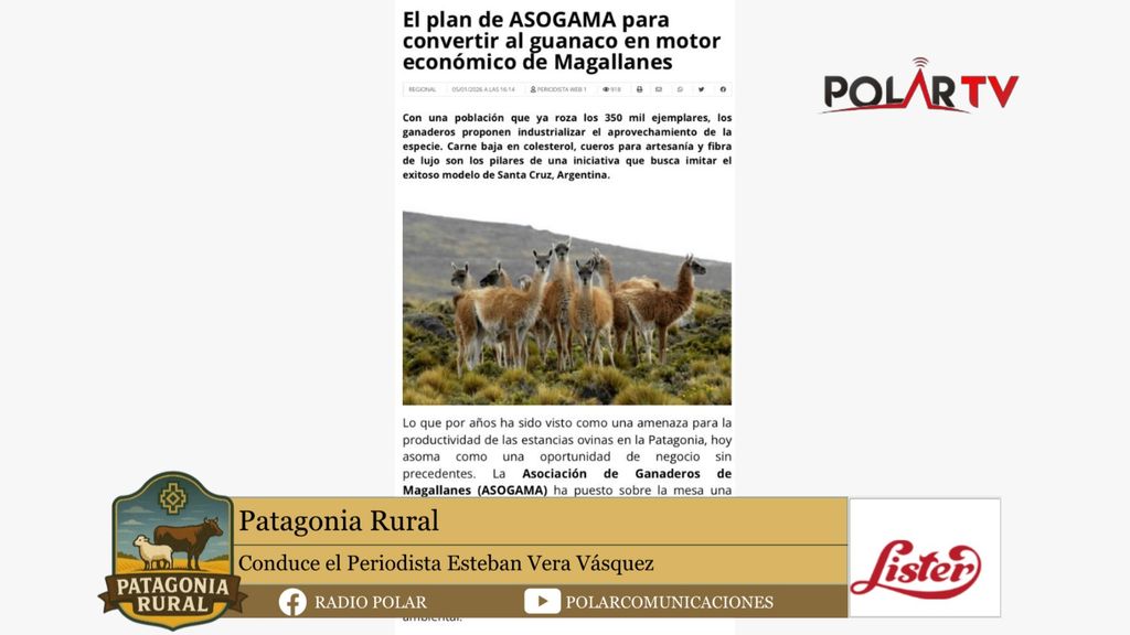 Patagonia rural 16 enero 2026
