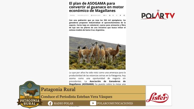 Patagonia rural 16 enero 2026 Patagonia rural 16 enero 2026