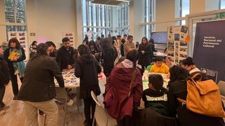 chicwilliams chicwilliams