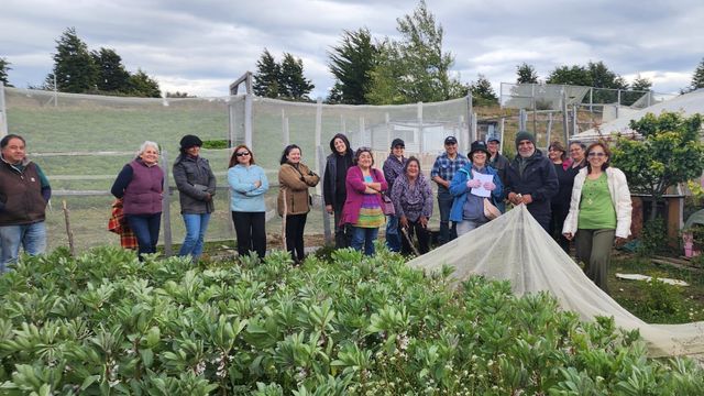 invernaderoferia invernaderoferia