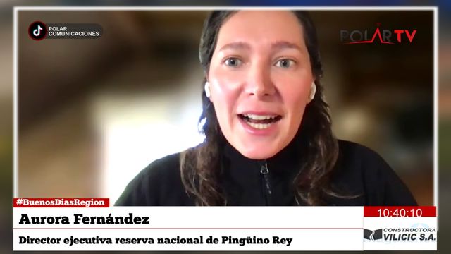 pinguinorey pinguinorey