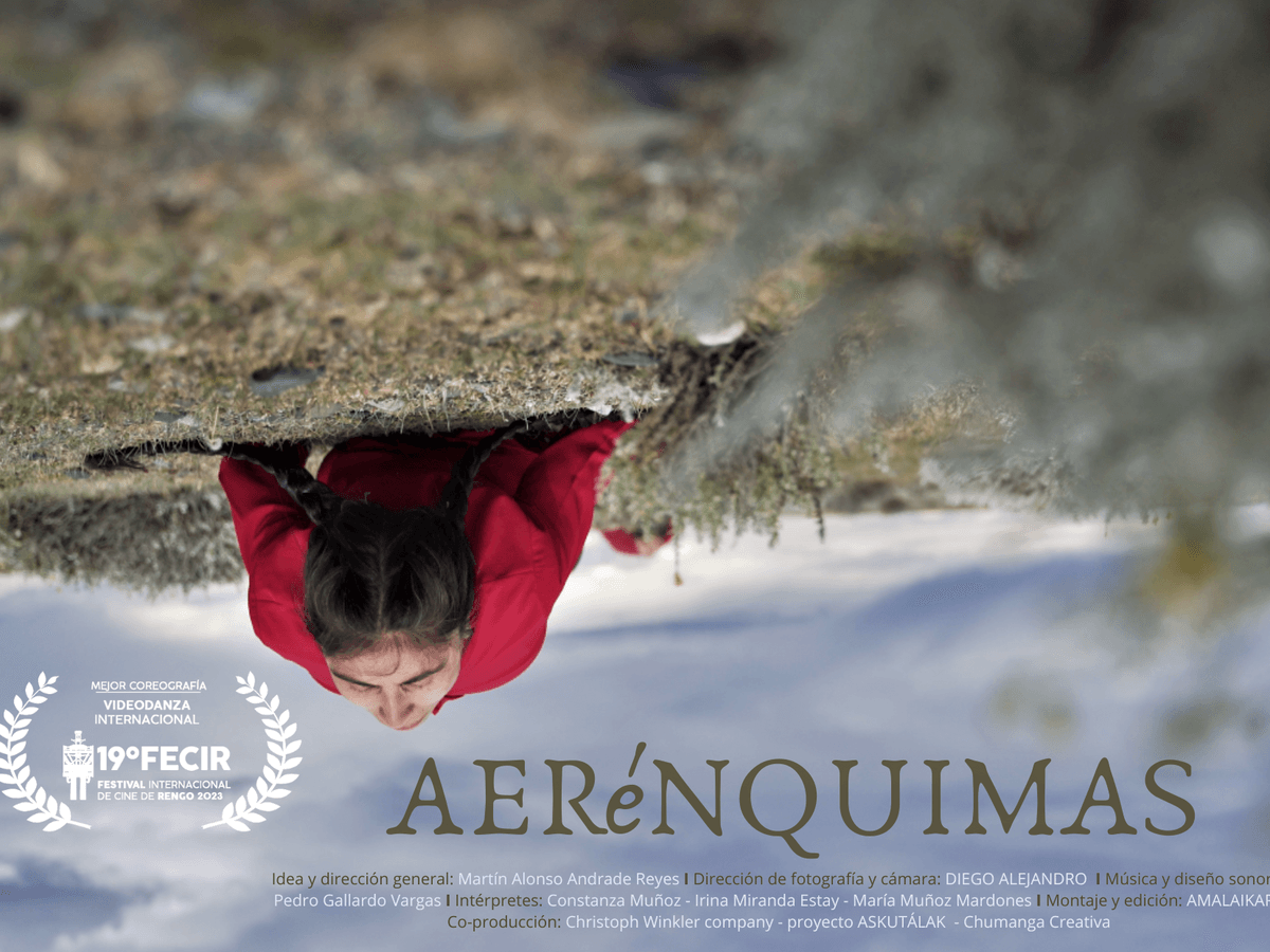 OBRA MAGALLÁNICA AERÉNQUIMAS ES PARTE DEL FESTIVAL INTERNACIONAL POOL