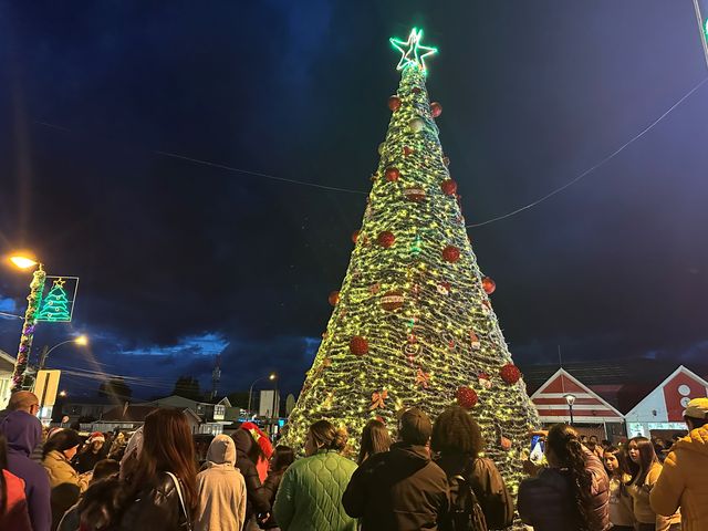 FOTO NATALES 1 FOTO NATALES 1