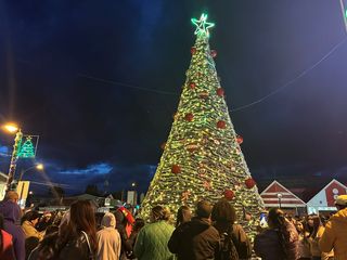 FOTO NATALES 1 FOTO NATALES 1