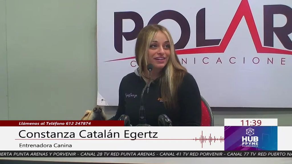 Imagen de WhatsApp 2024-07-29 a las 12 Imagen de WhatsApp 2024-07-29 a las 12