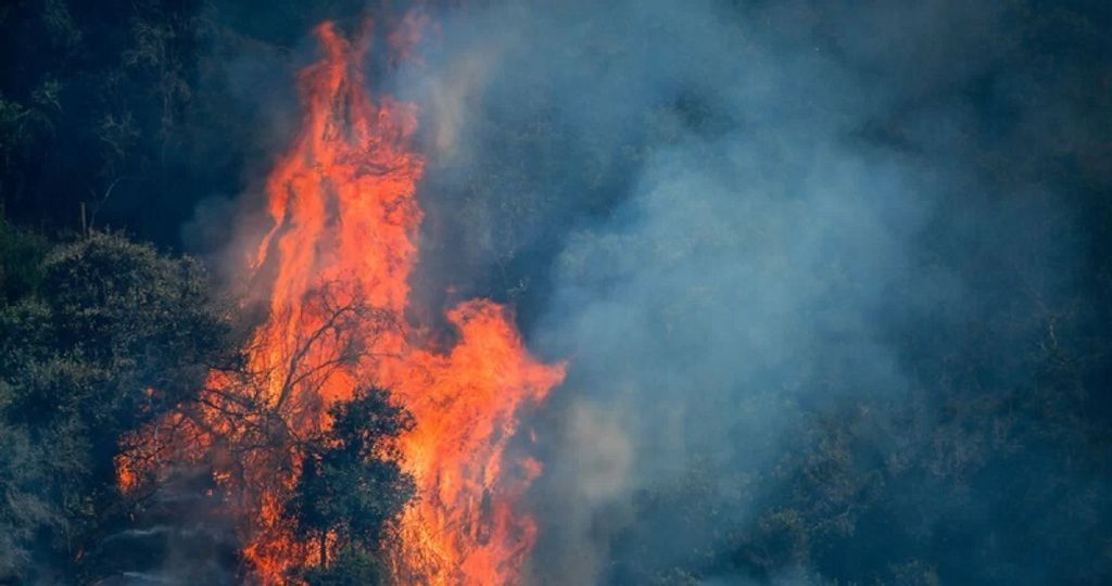 incendios-forestales-11-siniestros-en-combate-mientras-maule-y-pichidegua-estan-con-alerta-roja