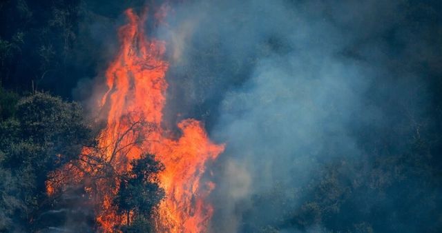 incendios-forestales-11-siniestros-en-combate-mientras-maule-y-pichidegua-estan-con-alerta-roja incendios-forestales-11-siniestros-en-combate-mientras-maule-y-pichidegua-estan-con-alerta-roja