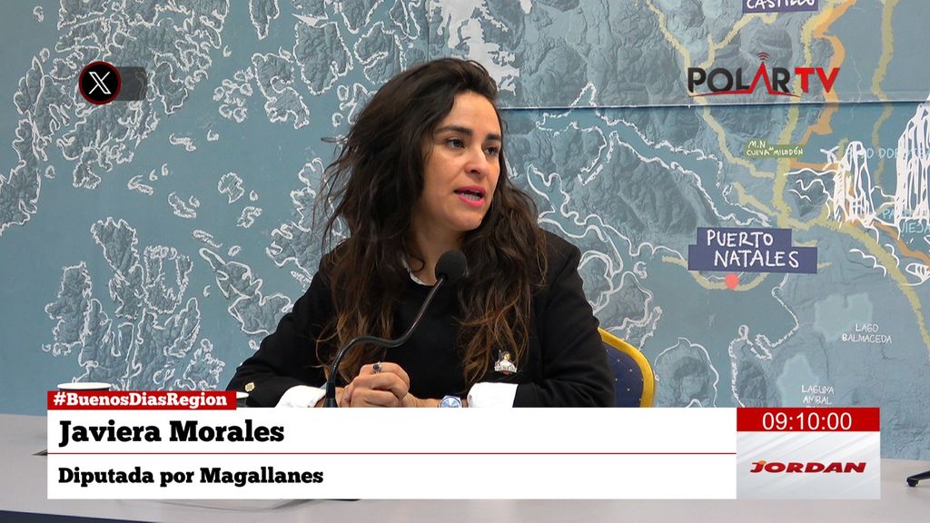 diputadamorales diputadamorales