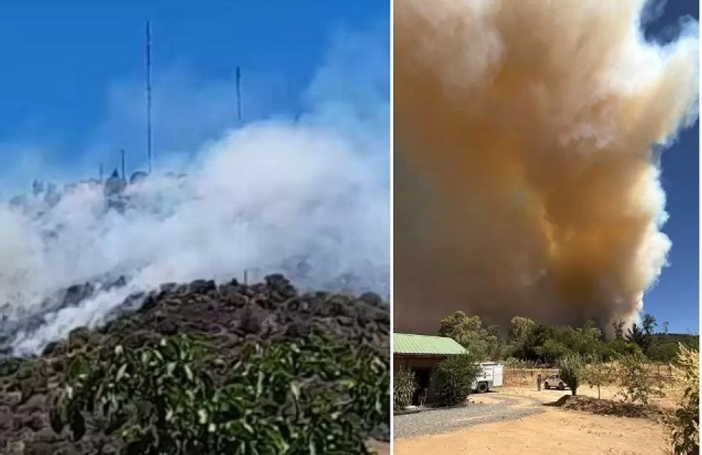 incendio-forestal-cerro-maule