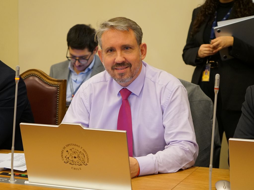 diputadoriquelme diputadoriquelme