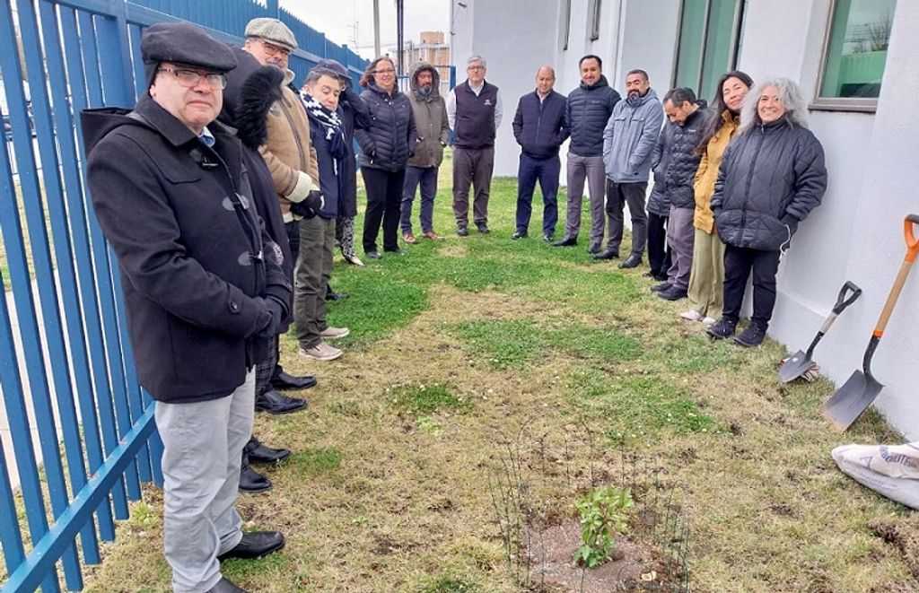 TODOS ARBOL TODOS ARBOL